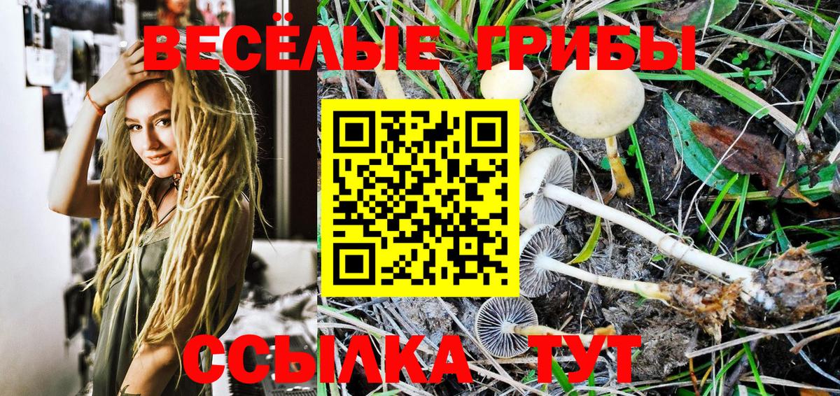 Псилоцибиновые грибы Psilocybine cubensis Качканар